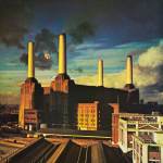 Animals by Pink Floyd album cover